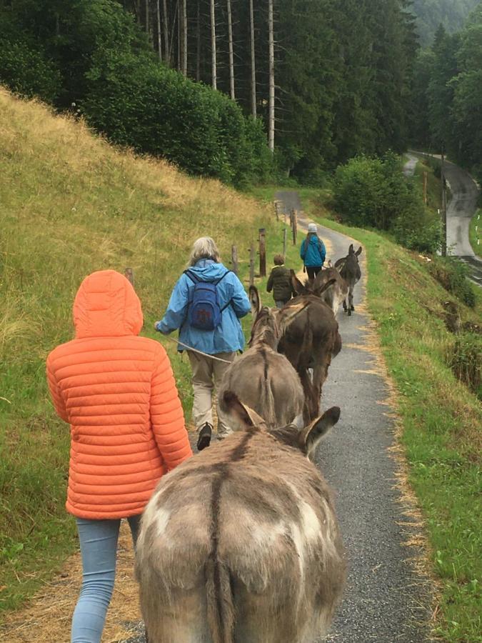 Wengerwirt Zur Laube Bed and Breakfast Weng im Gesause Eksteriør billede