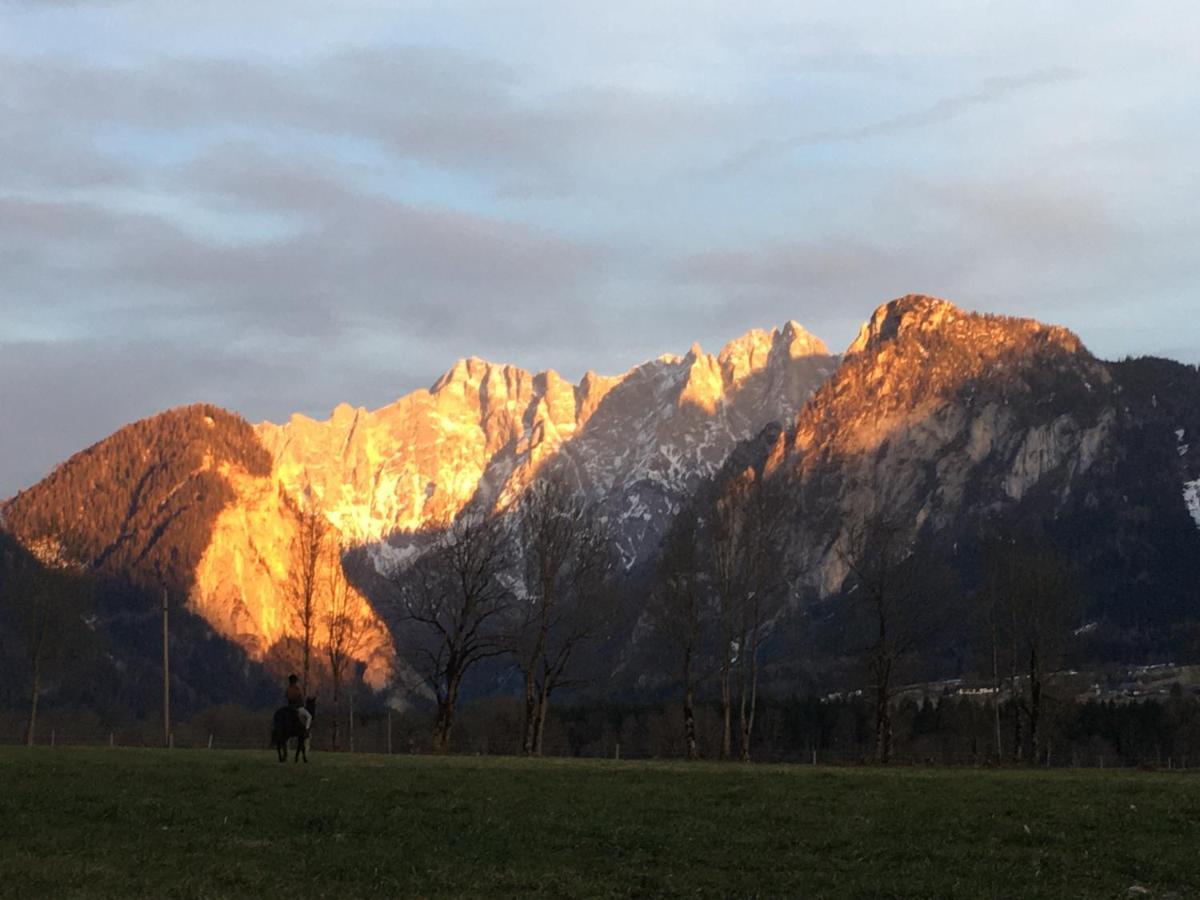 Wengerwirt Zur Laube Bed and Breakfast Weng im Gesause Eksteriør billede