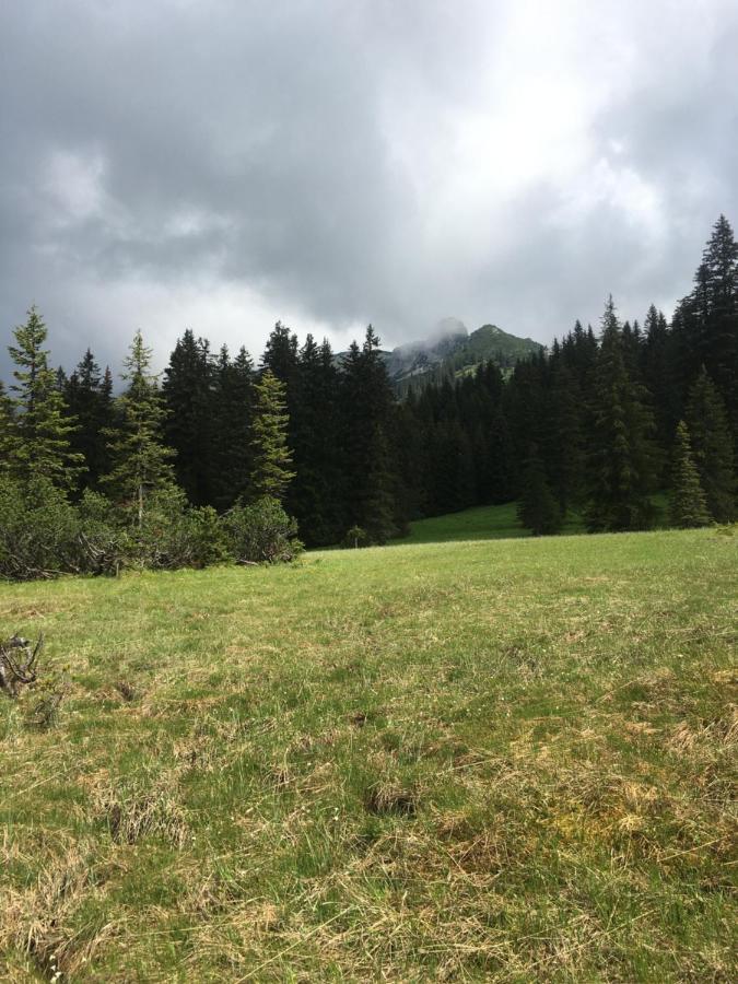 Wengerwirt Zur Laube Bed and Breakfast Weng im Gesause Eksteriør billede